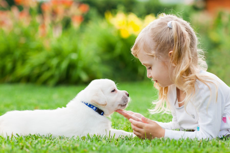 Kathy Kroner breeder, , kathy, kroner, dog, breeder, about, kathy-kroner, dog-breeder, novelty, mo, missouri, child, puppies